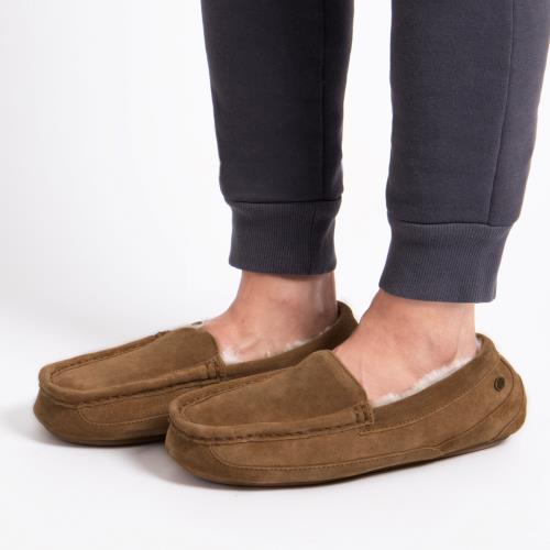 Mens Harry Sheepskin Slipper Chestnut